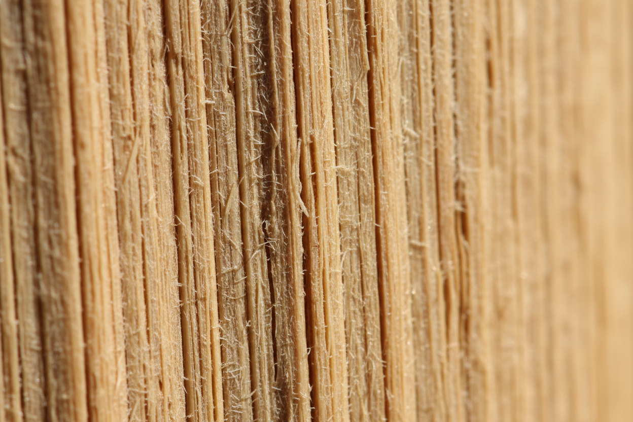 100_biologisch_afbreekbare_tandenborstel